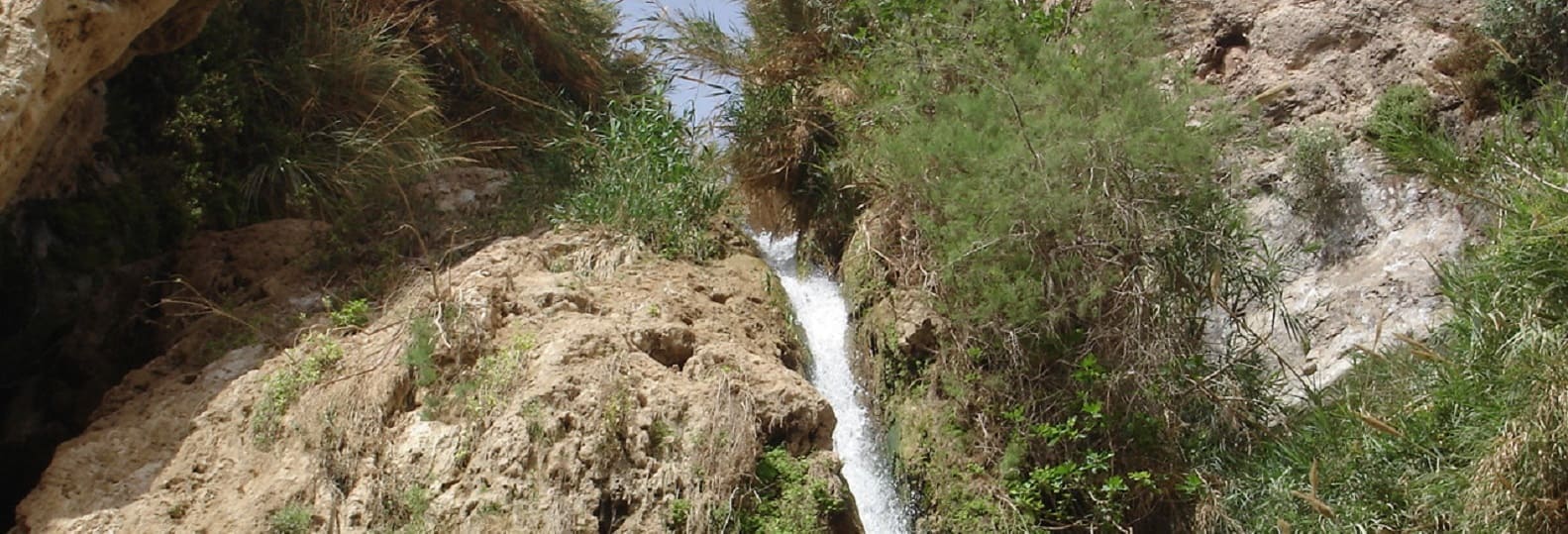 desert de judée_terre sainte_ein geddi